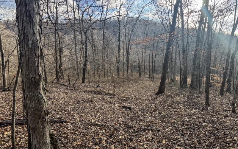 Lot 1 Morgantown Pike, Belington, West Virginia 26250, ,Lots/land,For Sale,Morgantown,10161856