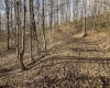 Lot 1 Morgantown Pike, Belington, West Virginia 26250, ,Lots/land,For Sale,Morgantown,10161856