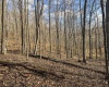 Lot 1 Morgantown Pike, Belington, West Virginia 26250, ,Lots/land,For Sale,Morgantown,10161856