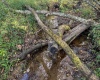 Lot 1 Morgantown Pike, Belington, West Virginia 26250, ,Lots/land,For Sale,Morgantown,10161856