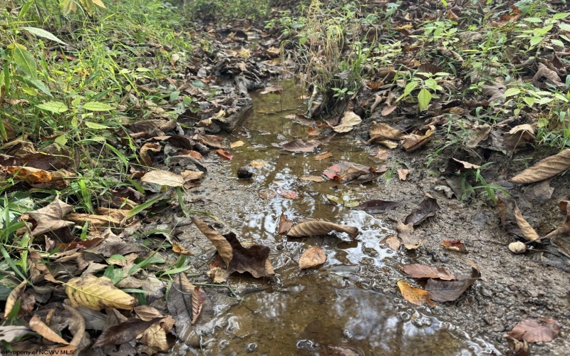 Lot 1 Morgantown Pike, Belington, West Virginia 26250, ,Lots/land,For Sale,Morgantown,10161856