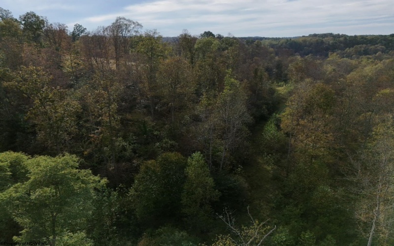 Lot 1 Morgantown Pike, Belington, West Virginia 26250, ,Lots/land,For Sale,Morgantown,10161856