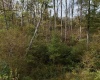 Lot 1 Morgantown Pike, Belington, West Virginia 26250, ,Lots/land,For Sale,Morgantown,10161856