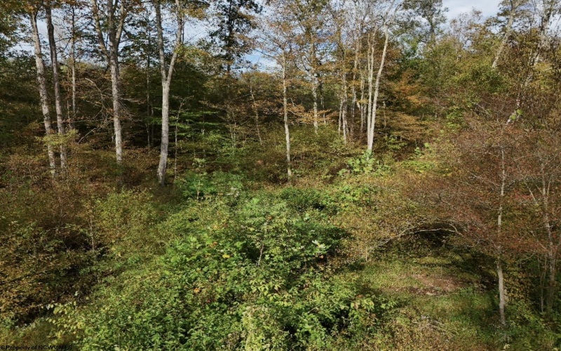 Lot 1 Morgantown Pike, Belington, West Virginia 26250, ,Lots/land,For Sale,Morgantown,10161856