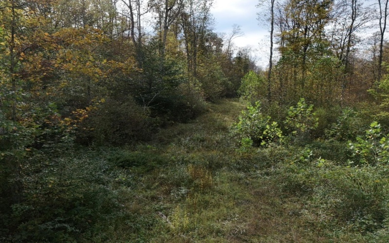 Lot 1 Morgantown Pike, Belington, West Virginia 26250, ,Lots/land,For Sale,Morgantown,10161856