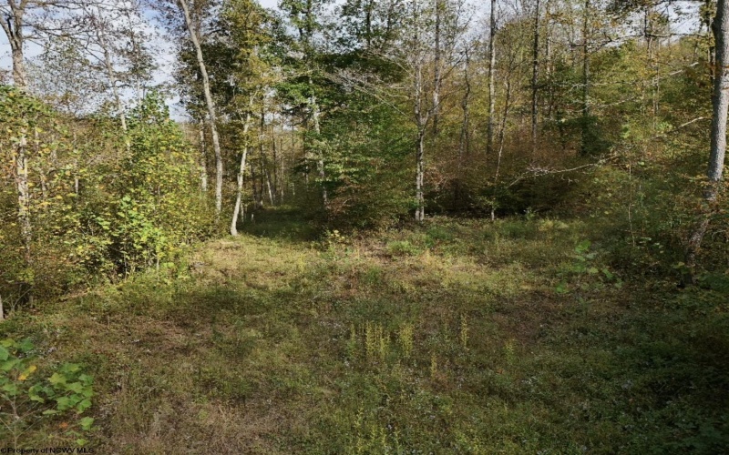 Lot 1 Morgantown Pike, Belington, West Virginia 26250, ,Lots/land,For Sale,Morgantown,10161856