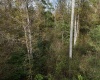 Lot 1 Morgantown Pike, Belington, West Virginia 26250, ,Lots/land,For Sale,Morgantown,10161856