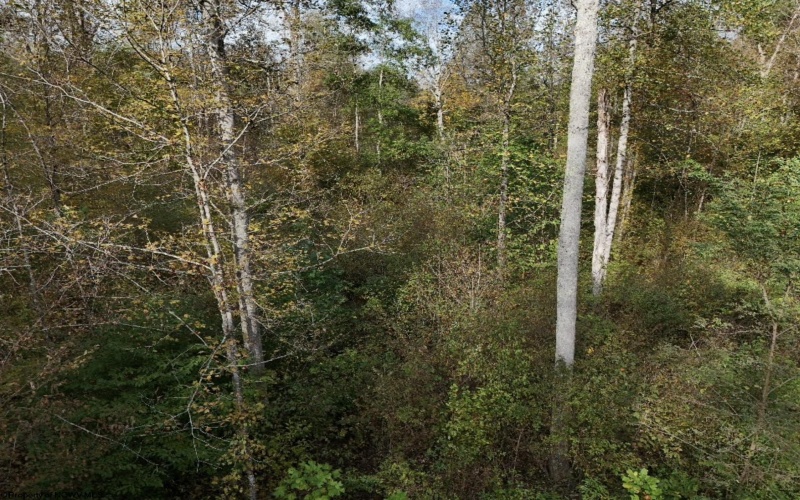 Lot 1 Morgantown Pike, Belington, West Virginia 26250, ,Lots/land,For Sale,Morgantown,10161856