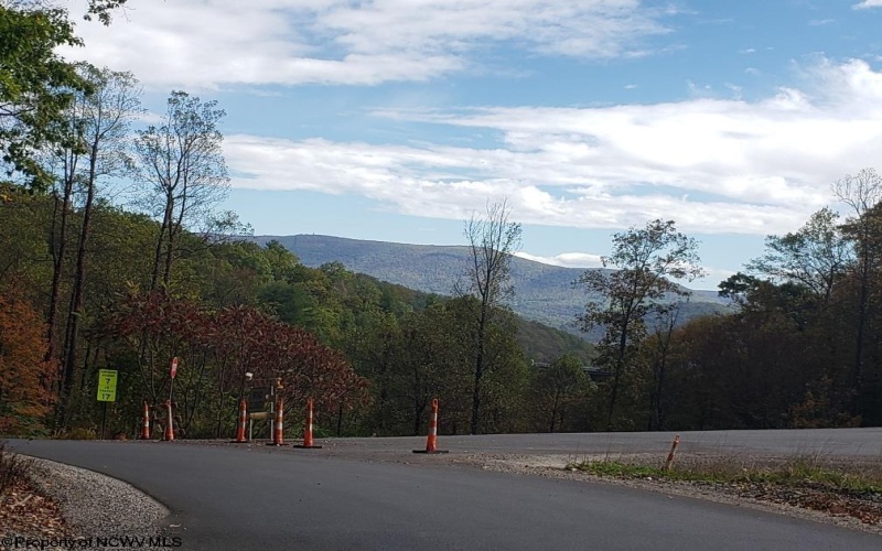 100 Steve Rosier Road, Parsons, West Virginia 26287, ,Lots/land,For Sale,Steve Rosier,10161875