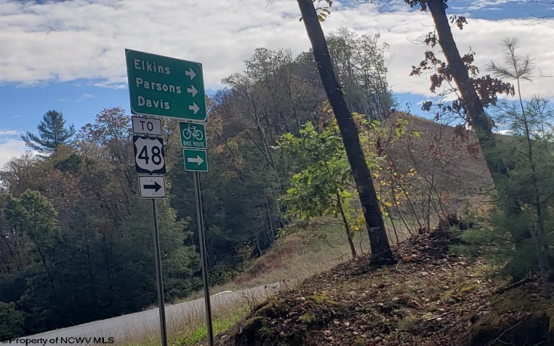 100 Steve Rosier Road, Parsons, West Virginia 26287, ,Lots/land,For Sale,Steve Rosier,10161875