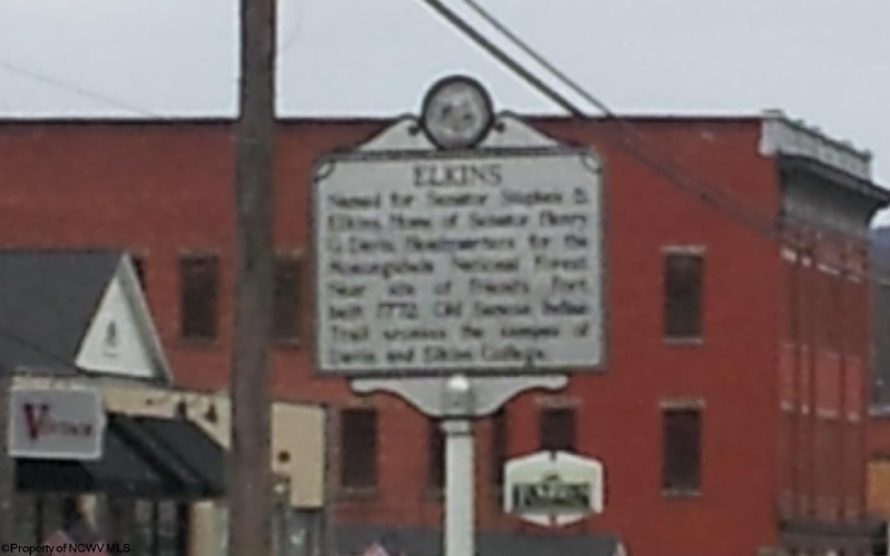 100 Steve Rosier Road, Parsons, West Virginia 26287, ,Lots/land,For Sale,Steve Rosier,10161875