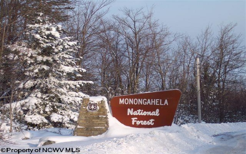 100 Steve Rosier Road, Parsons, West Virginia 26287, ,Lots/land,For Sale,Steve Rosier,10161875