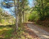 100 Steve Rosier Road, Parsons, West Virginia 26287, ,Lots/land,For Sale,Steve Rosier,10161875