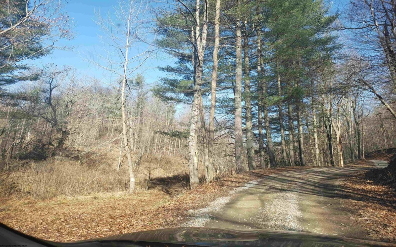 100 Steve Rosier Road, Parsons, West Virginia 26287, 0 , 0 ,0,Lots/land,For Sale,Steve Rosier,0,10161875