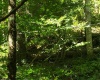 100 Steve Rosier Road, Parsons, West Virginia 26287, 0 , 0 ,0,Lots/land,For Sale,Steve Rosier,0,10161875