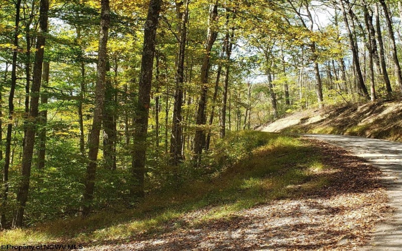 100 Steve Rosier Road, Parsons, West Virginia 26287, ,Lots/land,For Sale,Steve Rosier,10161875