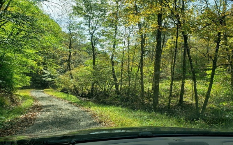100 Steve Rosier Road, Parsons, West Virginia 26287, ,Lots/land,For Sale,Steve Rosier,10161875
