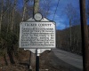 100 Steve Rosier Road, Parsons, West Virginia 26287, ,Lots/land,For Sale,Steve Rosier,10161875