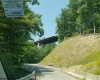 100 Steve Rosier Road, Parsons, West Virginia 26287, ,Lots/land,For Sale,Steve Rosier,10161875