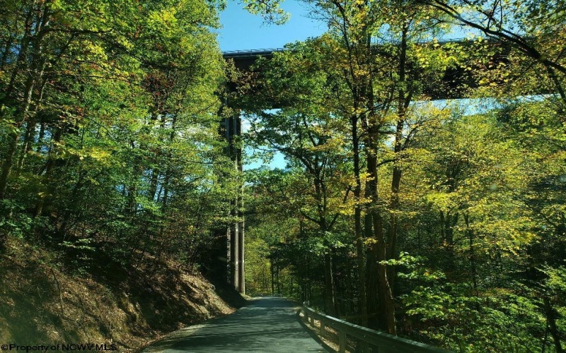 100 Steve Rosier Road, Parsons, West Virginia 26287, ,Lots/land,For Sale,Steve Rosier,10161875