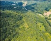 0 Indian Fork Road, Philippi, West Virginia 26416, ,Lots/land,For Sale,Indian Fork,10158724