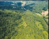 0 Indian Fork Road, Philippi, West Virginia 26416, ,Lots/land,For Sale,Indian Fork,10158724