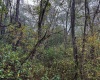 TBD Pickhandle Hill Road, Morgantown, West Virginia 26501, ,Lots/land,For Sale,Pickhandle Hill,10161871