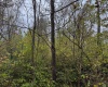 TBD Pickhandle Hill Road, Morgantown, West Virginia 26501, ,Lots/land,For Sale,Pickhandle Hill,10161871