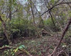 TBD Pickhandle Hill Road, Morgantown, West Virginia 26501, ,Lots/land,For Sale,Pickhandle Hill,10161871
