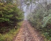 TBD Pickhandle Hill Road, Morgantown, West Virginia 26501, ,Lots/land,For Sale,Pickhandle Hill,10161871