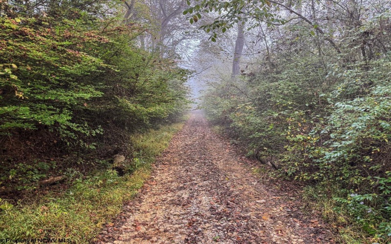 TBD Pickhandle Hill Road, Morgantown, West Virginia 26501, ,Lots/land,For Sale,Pickhandle Hill,10161871