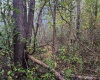 TBD Pickhandle Hill Road, Morgantown, West Virginia 26501, ,Lots/land,For Sale,Pickhandle Hill,10161871