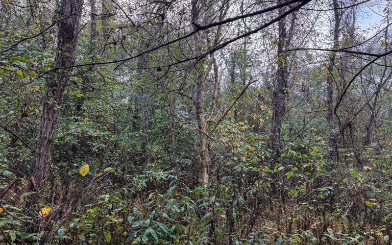 TBD Pickhandle Hill Road, Morgantown, West Virginia 26501, ,Lots/land,For Sale,Pickhandle Hill,10161871