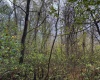 TBD Pickhandle Hill Road, Morgantown, West Virginia 26501, ,Lots/land,For Sale,Pickhandle Hill,10161871