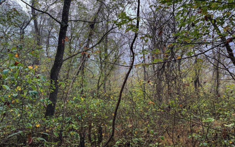TBD Pickhandle Hill Road, Morgantown, West Virginia 26501, ,Lots/land,For Sale,Pickhandle Hill,10161871