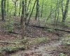 5150 Indian Run, Salem, West Virginia 26426, ,Lots/land,For Sale,Indian,10161885 5150 Indian Run, Salem, West Virginia 26426, ,Lots/land,For Sale,Indian,10161885