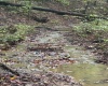 5150 Indian Run, Salem, West Virginia 26426, ,Lots/land,For Sale,Indian,10161885 5150 Indian Run, Salem, West Virginia 26426, ,Lots/land,For Sale,Indian,10161885