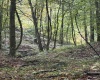 5150 Indian Run, Salem, West Virginia 26426, ,Lots/land,For Sale,Indian,10161885 5150 Indian Run, Salem, West Virginia 26426, ,Lots/land,For Sale,Indian,10161885