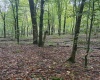 5150 Indian Run, Salem, West Virginia 26426, ,Lots/land,For Sale,Indian,10161885 5150 Indian Run, Salem, West Virginia 26426, ,Lots/land,For Sale,Indian,10161885
