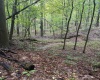 5150 Indian Run, Salem, West Virginia 26426, ,Lots/land,For Sale,Indian,10161885 5150 Indian Run, Salem, West Virginia 26426, ,Lots/land,For Sale,Indian,10161885
