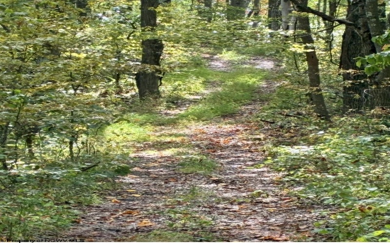 5150 Indian Run, Salem, West Virginia 26426, ,Lots/land,For Sale,Indian,10161885 5150 Indian Run, Salem, West Virginia 26426, ,Lots/land,For Sale,Indian,10161885
