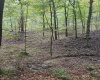 5150 Indian Run, Salem, West Virginia 26426, ,Lots/land,For Sale,Indian,10161885 5150 Indian Run, Salem, West Virginia 26426, ,Lots/land,For Sale,Indian,10161885