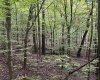 5150 Indian Run, Salem, West Virginia 26426, ,Lots/land,For Sale,Indian,10161885 5150 Indian Run, Salem, West Virginia 26426, ,Lots/land,For Sale,Indian,10161885