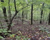 5150 Indian Run, Salem, West Virginia 26426, ,Lots/land,For Sale,Indian,10161885 5150 Indian Run, Salem, West Virginia 26426, ,Lots/land,For Sale,Indian,10161885