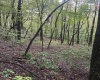 5150 Indian Run, Salem, West Virginia 26426, ,Lots/land,For Sale,Indian,10161885 5150 Indian Run, Salem, West Virginia 26426, ,Lots/land,For Sale,Indian,10161885