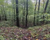 5150 Indian Run, Salem, West Virginia 26426, ,Lots/land,For Sale,Indian,10161885 5150 Indian Run, Salem, West Virginia 26426, ,Lots/land,For Sale,Indian,10161885