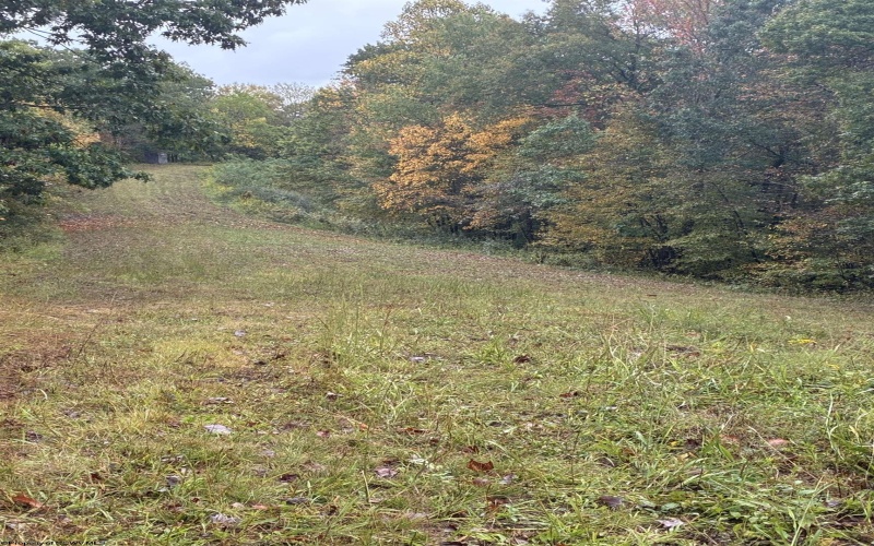5150 Indian Run, Salem, West Virginia 26426, ,Lots/land,For Sale,Indian,10161885 5150 Indian Run, Salem, West Virginia 26426, ,Lots/land,For Sale,Indian,10161885