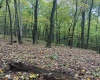 5150 Indian Run, Salem, West Virginia 26426, ,Lots/land,For Sale,Indian,10161885 5150 Indian Run, Salem, West Virginia 26426, ,Lots/land,For Sale,Indian,10161885