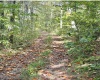 5150 Indian Run, Salem, West Virginia 26426, ,Lots/land,For Sale,Indian,10161885 5150 Indian Run, Salem, West Virginia 26426, ,Lots/land,For Sale,Indian,10161885