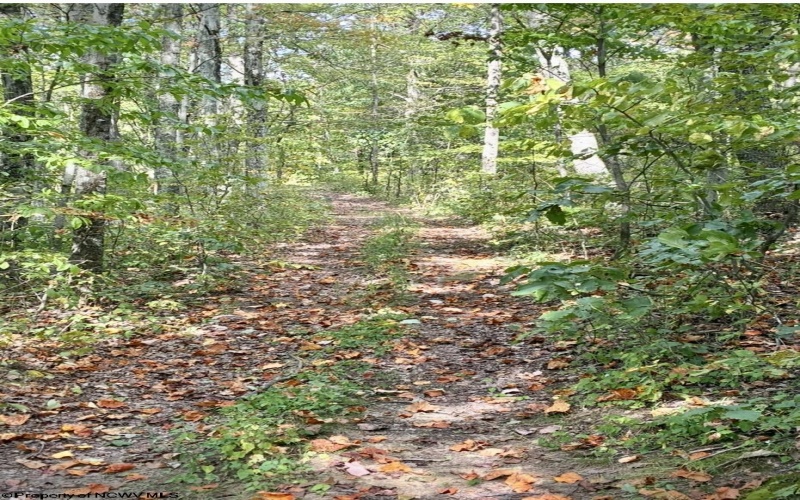 5150 Indian Run, Salem, West Virginia 26426, ,Lots/land,For Sale,Indian,10161885 5150 Indian Run, Salem, West Virginia 26426, ,Lots/land,For Sale,Indian,10161885